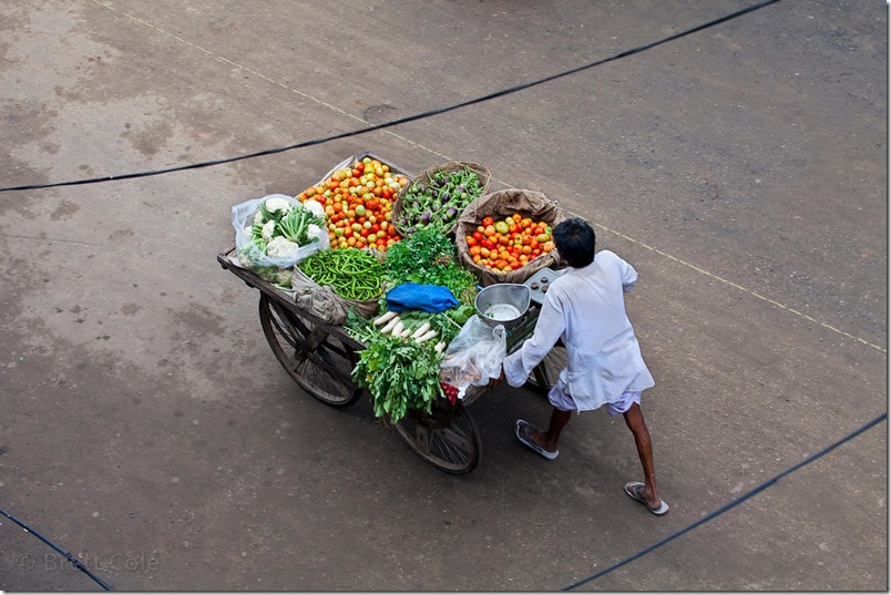 A Tribute to the Feriyas